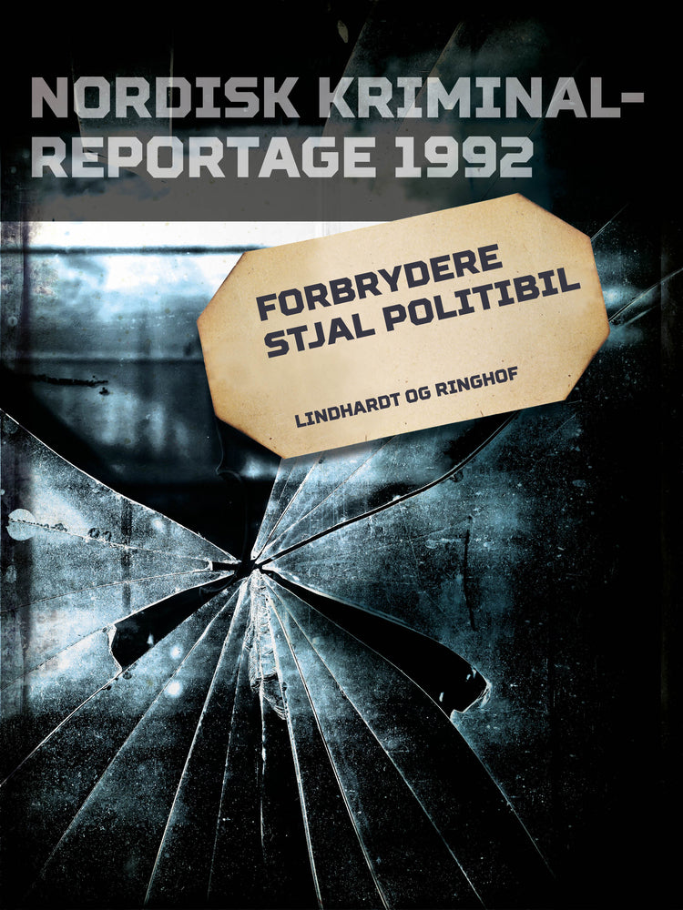 Forbrydere stjal politibil