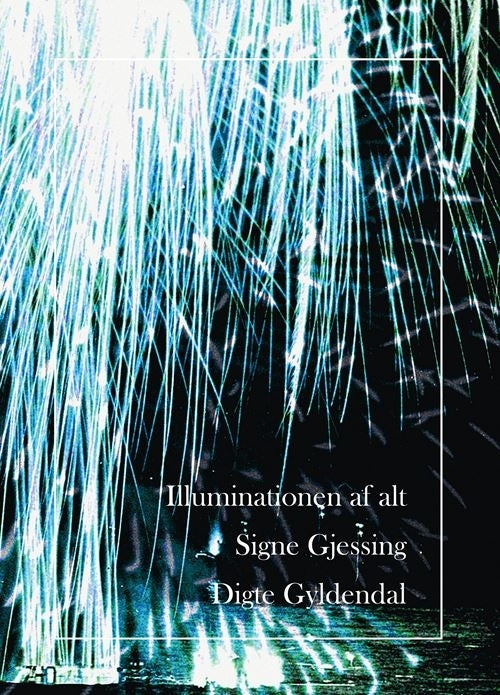 D1 Illuminationen af alt