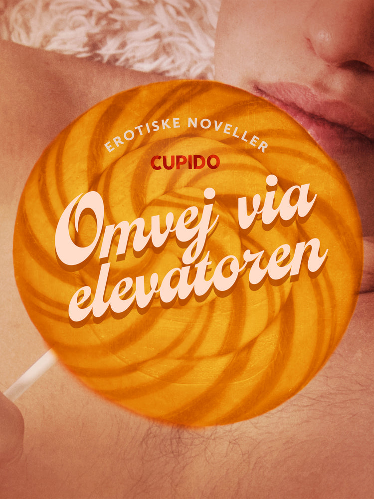 Omvej via elevatoren - erotiske noveller