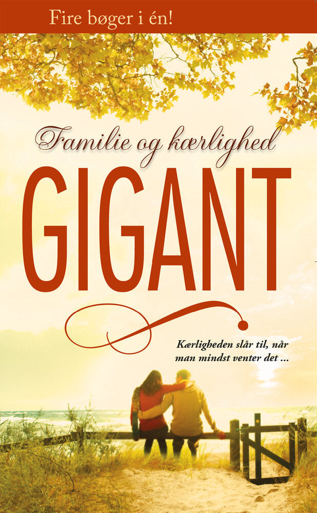 At genvinde sin brud  / På forbudt område / Skjulte følelser / Kærlighedens magi