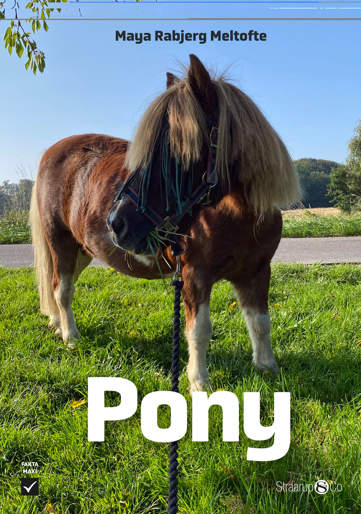 Pony
