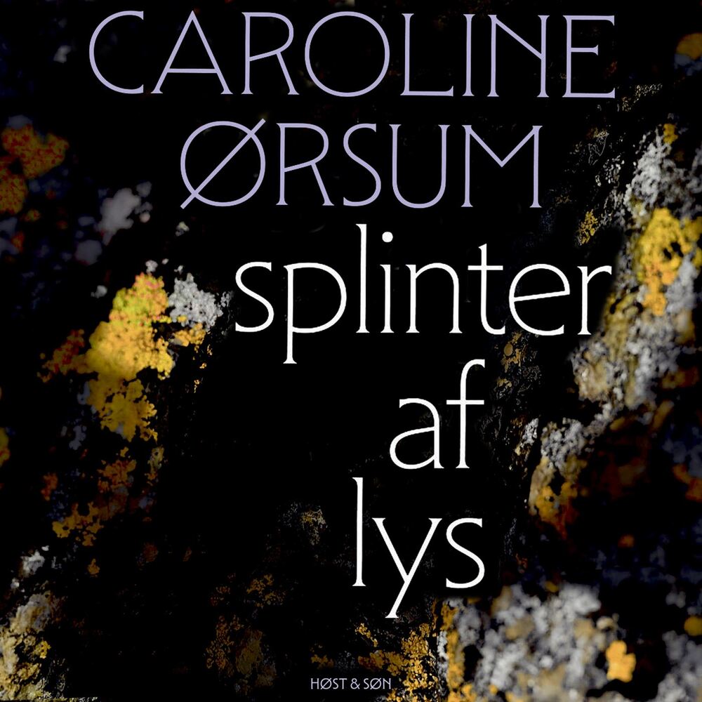 splinter af lys