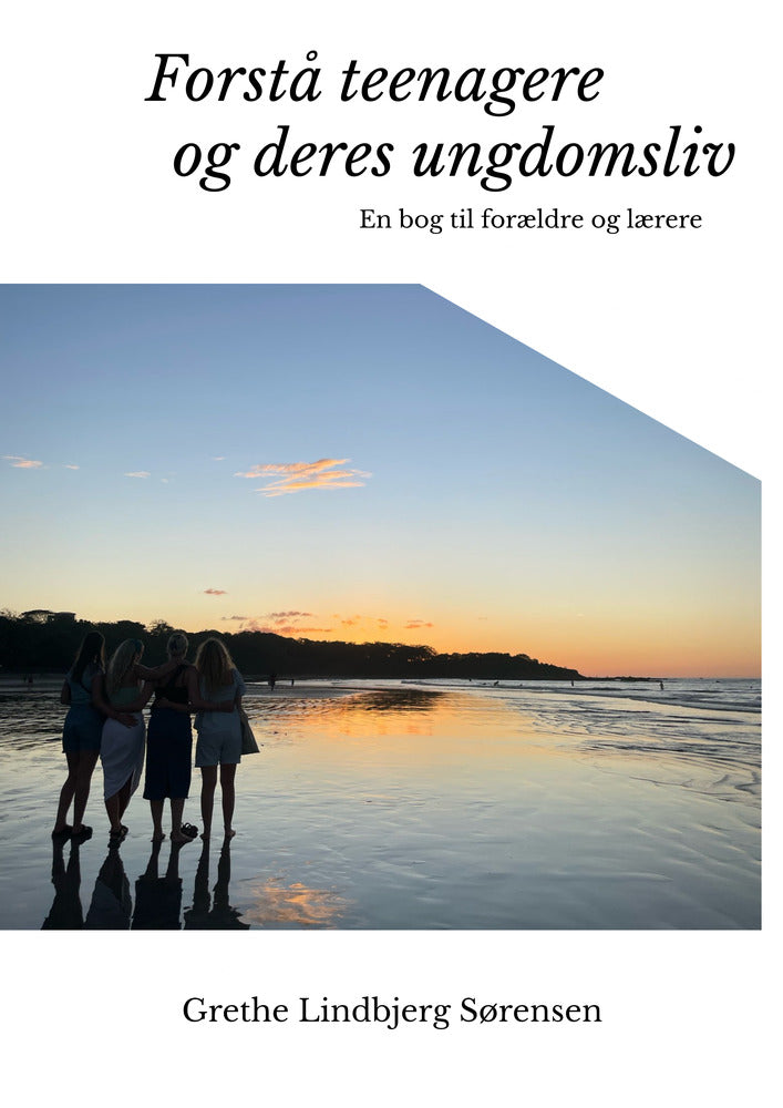 Forstå teenagere og deres ungdomsliv