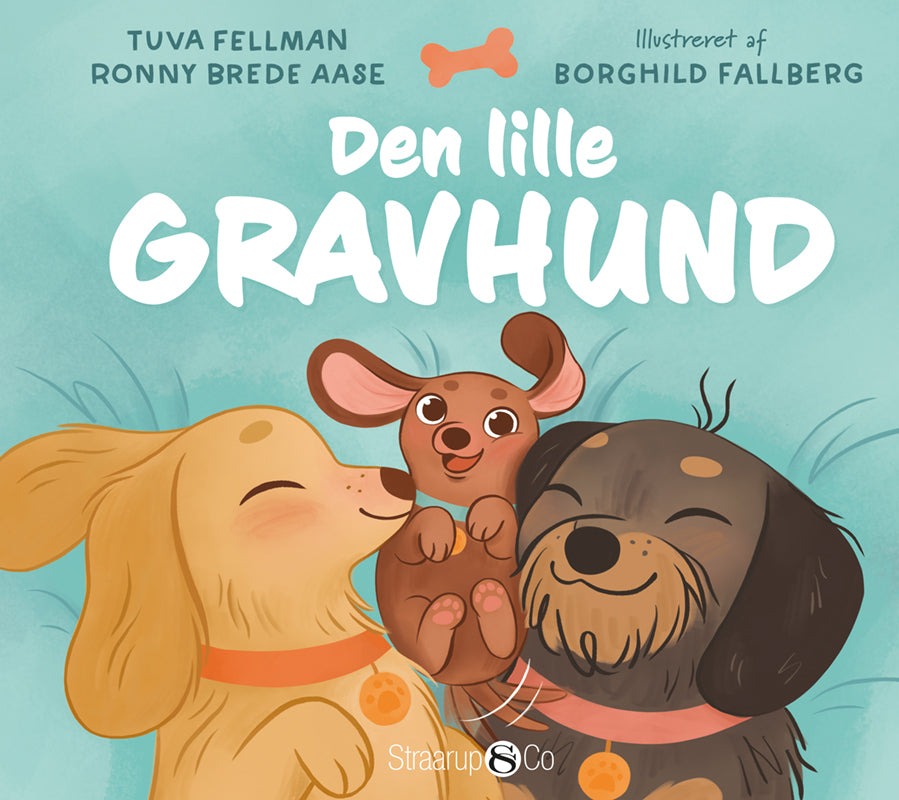 D1 Den lille gravhund