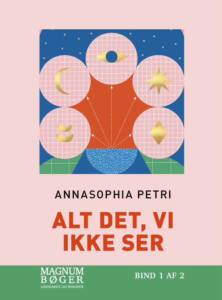 Alt det, vi ikke ser (Storskrift)