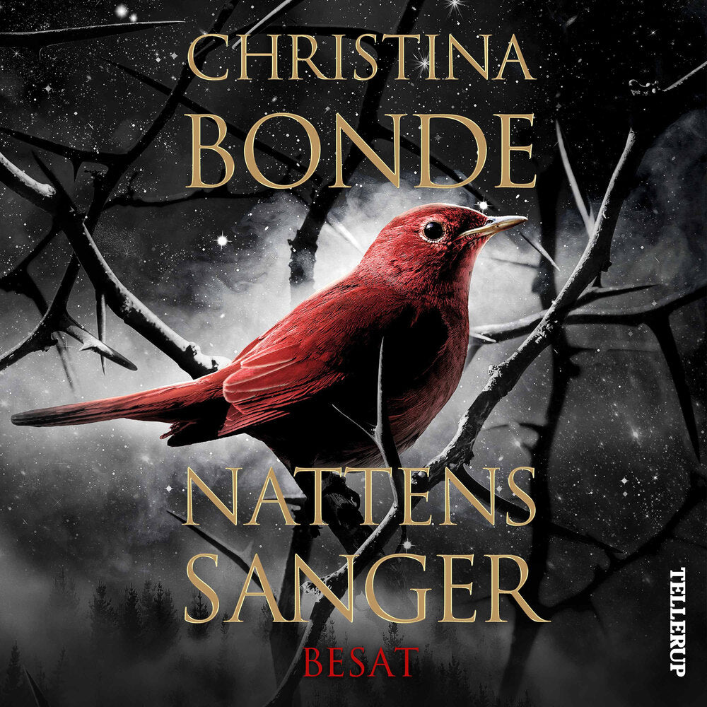 Nattens sanger #1: Besat - Nattens sanger