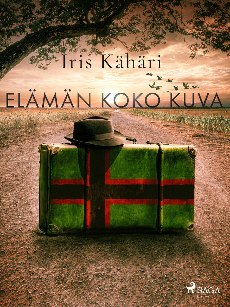 Elämän koko kuva