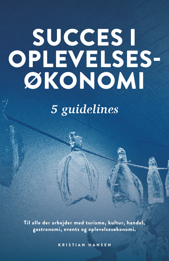 Succes i oplevelsesøkonomi - fem guidelines