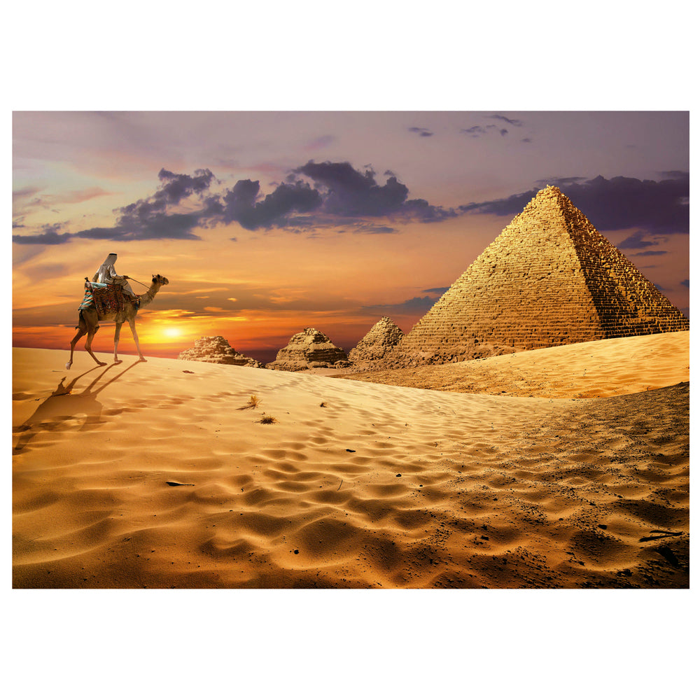 Puslespil Camel in The Desert 1000 brikker