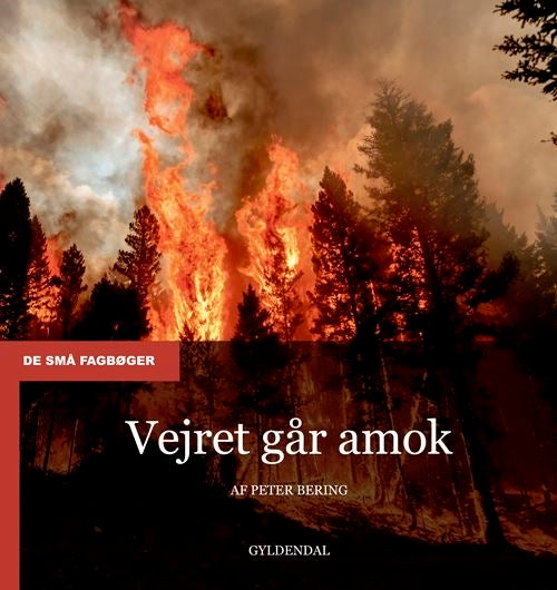 Vejret går amok