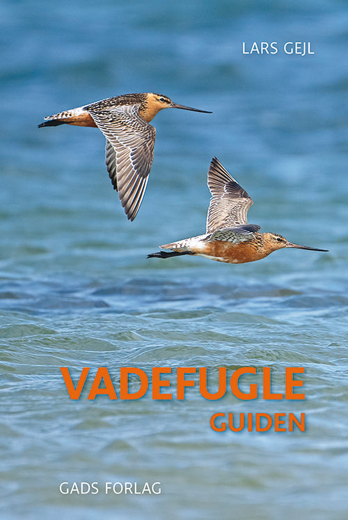 Vadefugleguiden