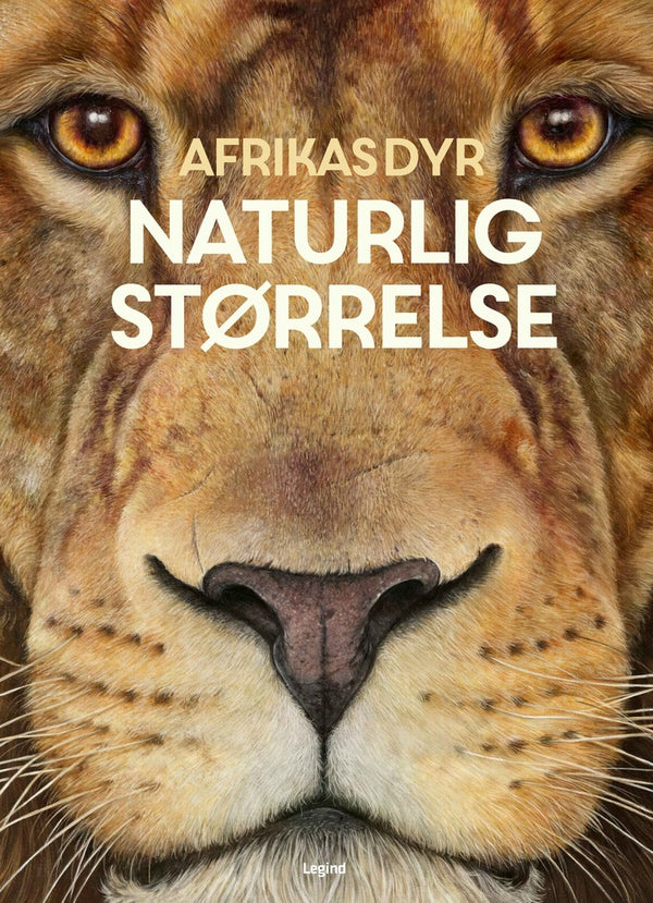Afrikas dyr – i naturlig størrelse – bog til 7-årige