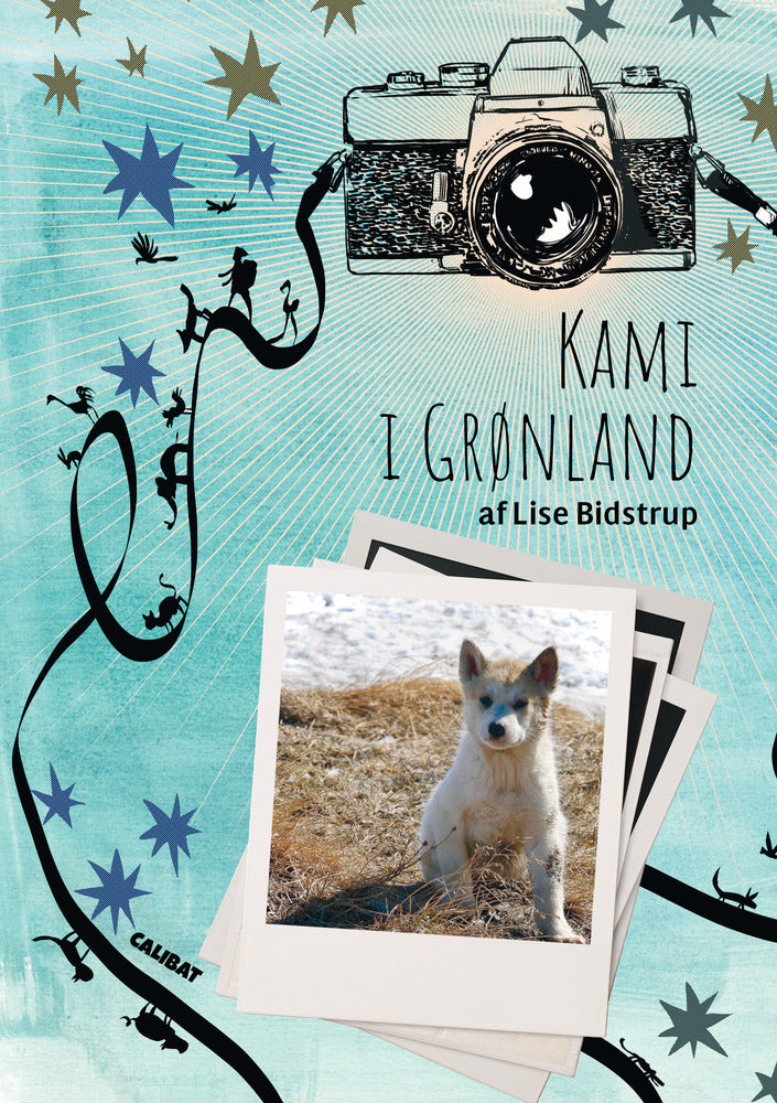 Kami i Grønland
