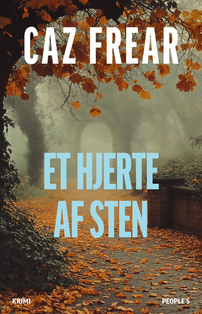 Et hjerte af sten