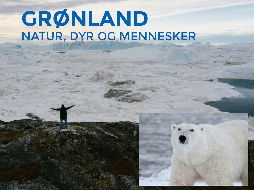 Grønland