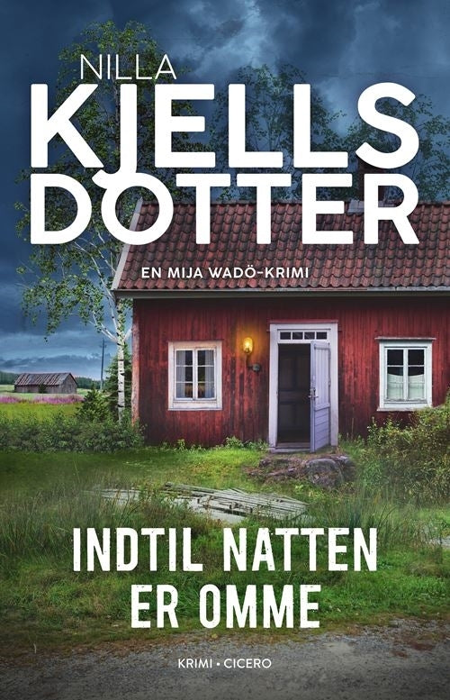 D1 Indtil natten er omme