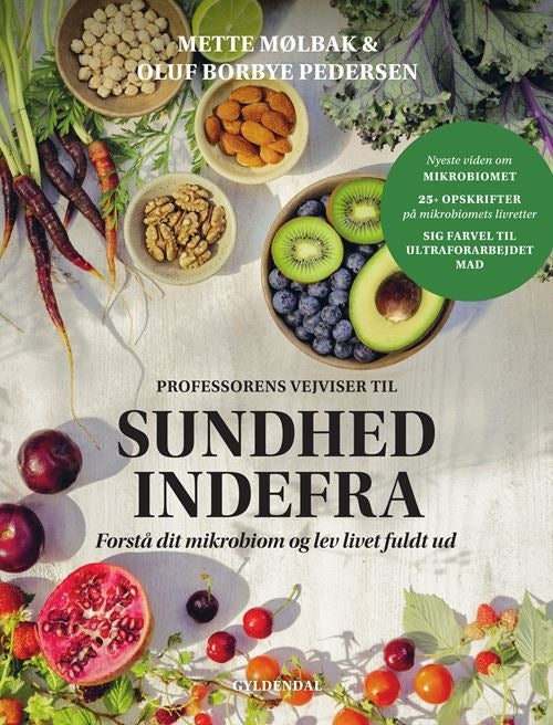 Professorens vejviser til sundhed indefra