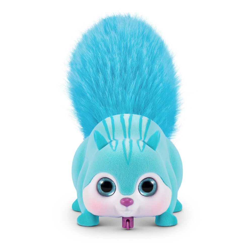 Pets Alive Squirrel ass