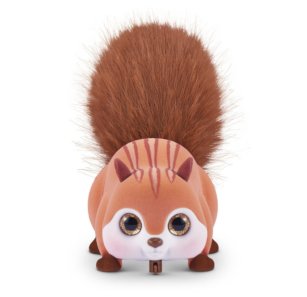 Pets Alive Squirrel ass