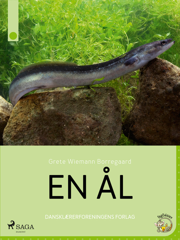 En ål