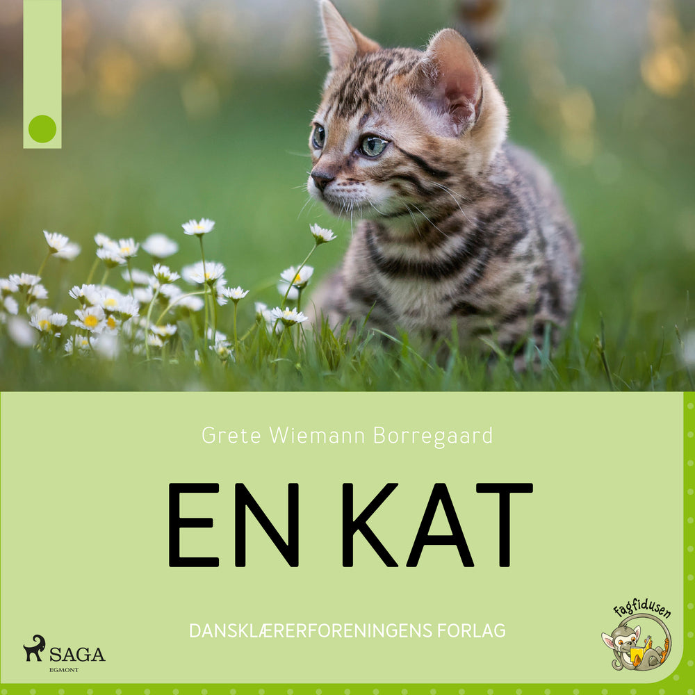 En kat