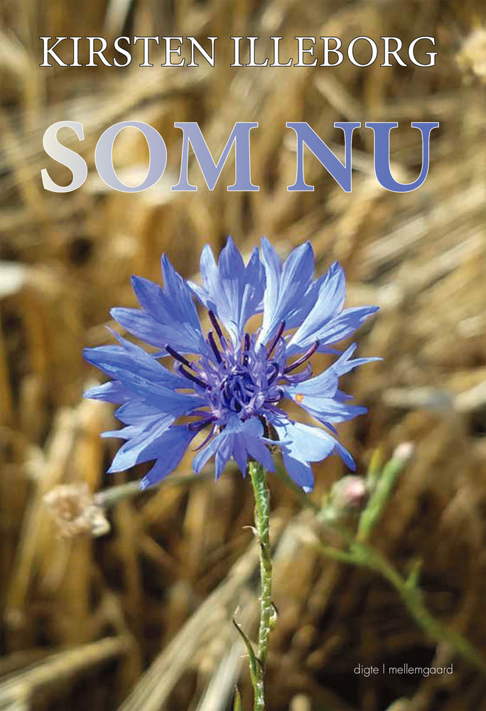 SOM NU