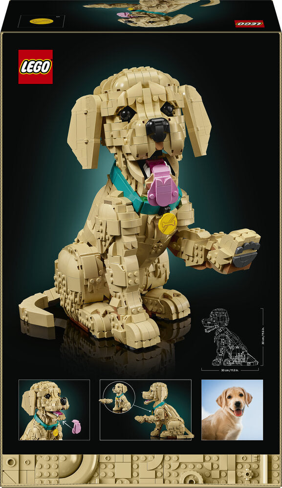 11384 LEGO Icons Golden retriever-hvalp