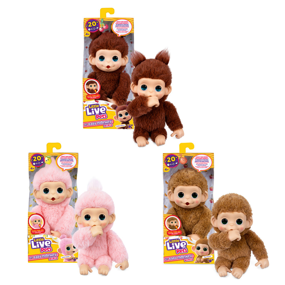 Little Live Pets My Baby Mini Monkey Ass