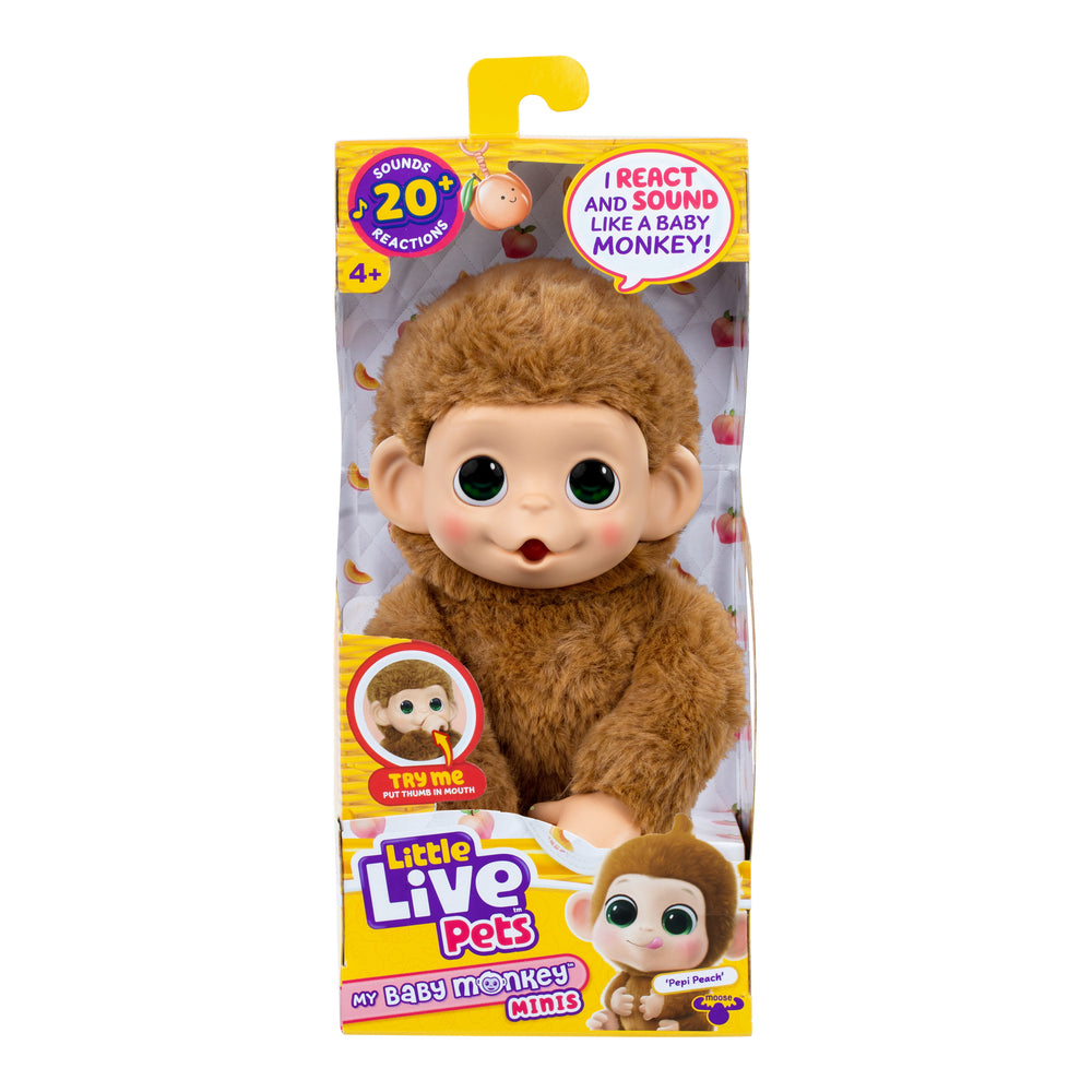Little Live Pets My Baby Mini Monkey Ass