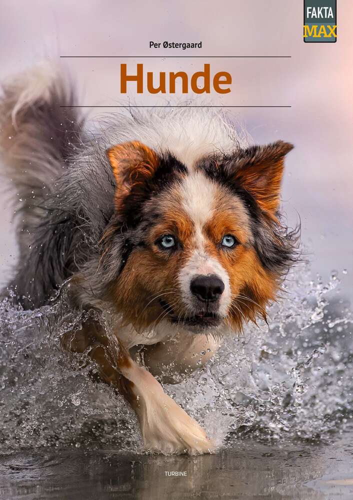 D1 Hunde