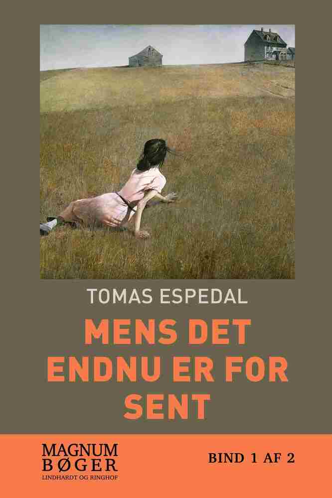 Mens det endnu er for sent (Storskrift)