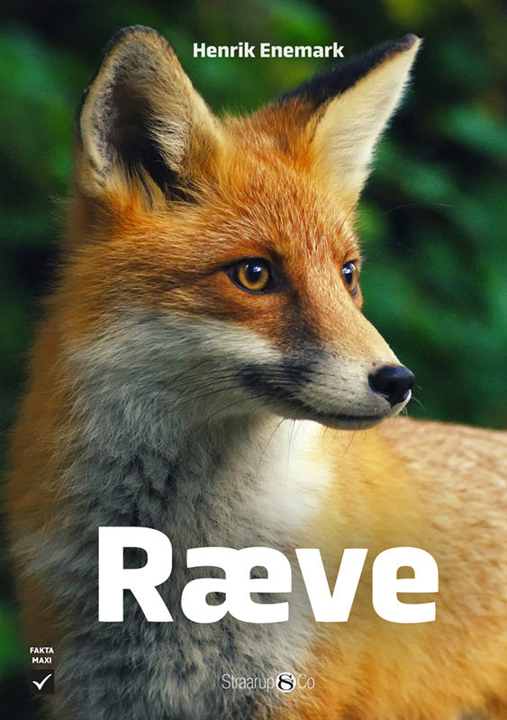 Ræve
