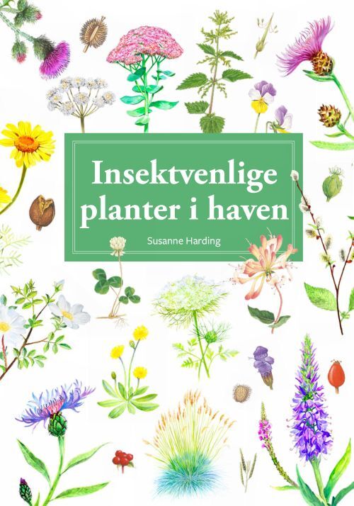 Insektvenlige planter i haven, display med 10 stk.