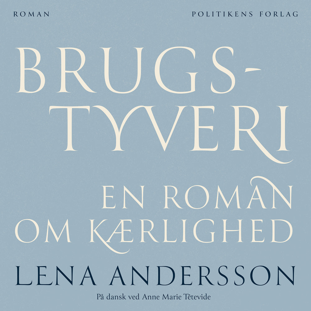 Brugstyveri - en roman om kærlighed