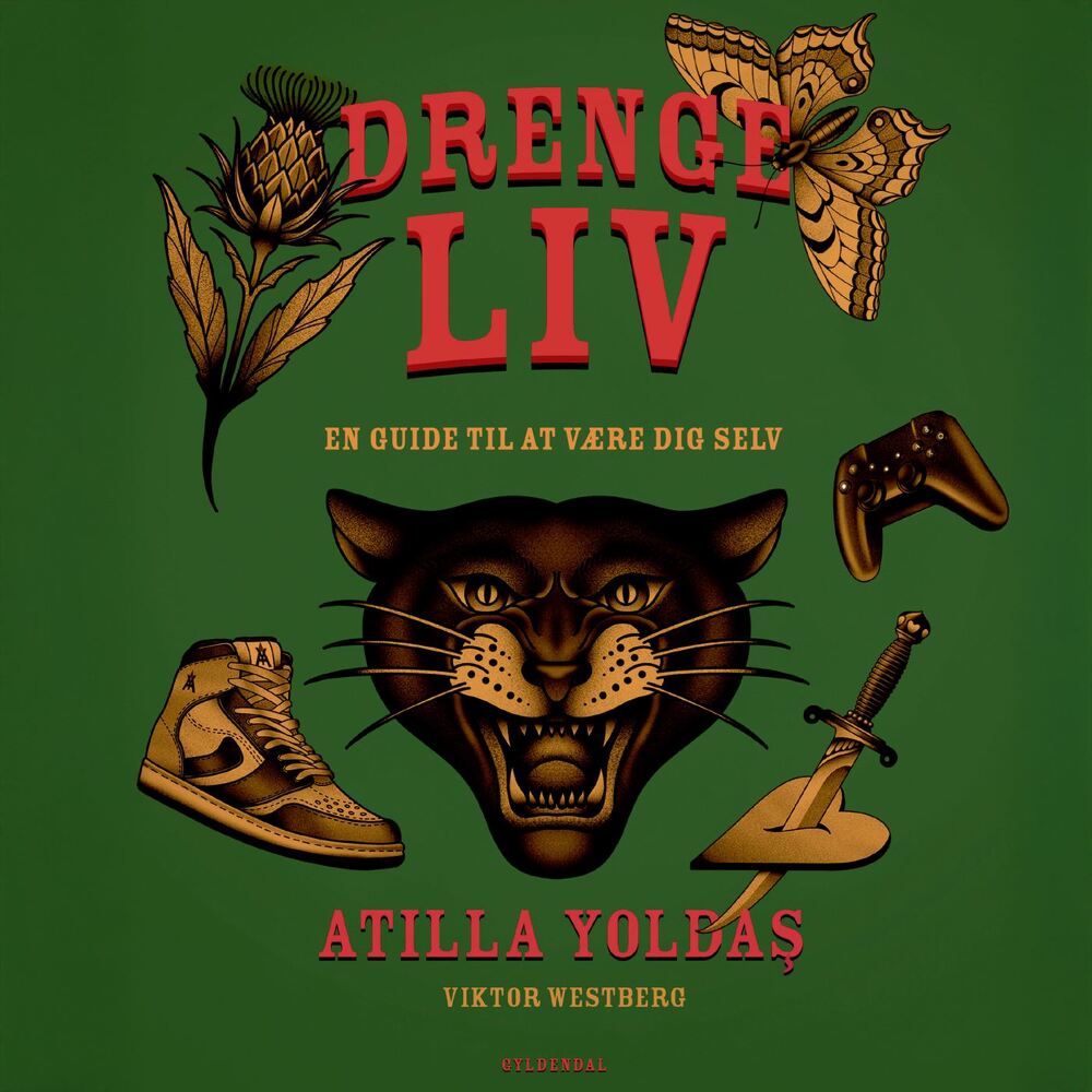 Drengeliv - en guide til at være dig selv