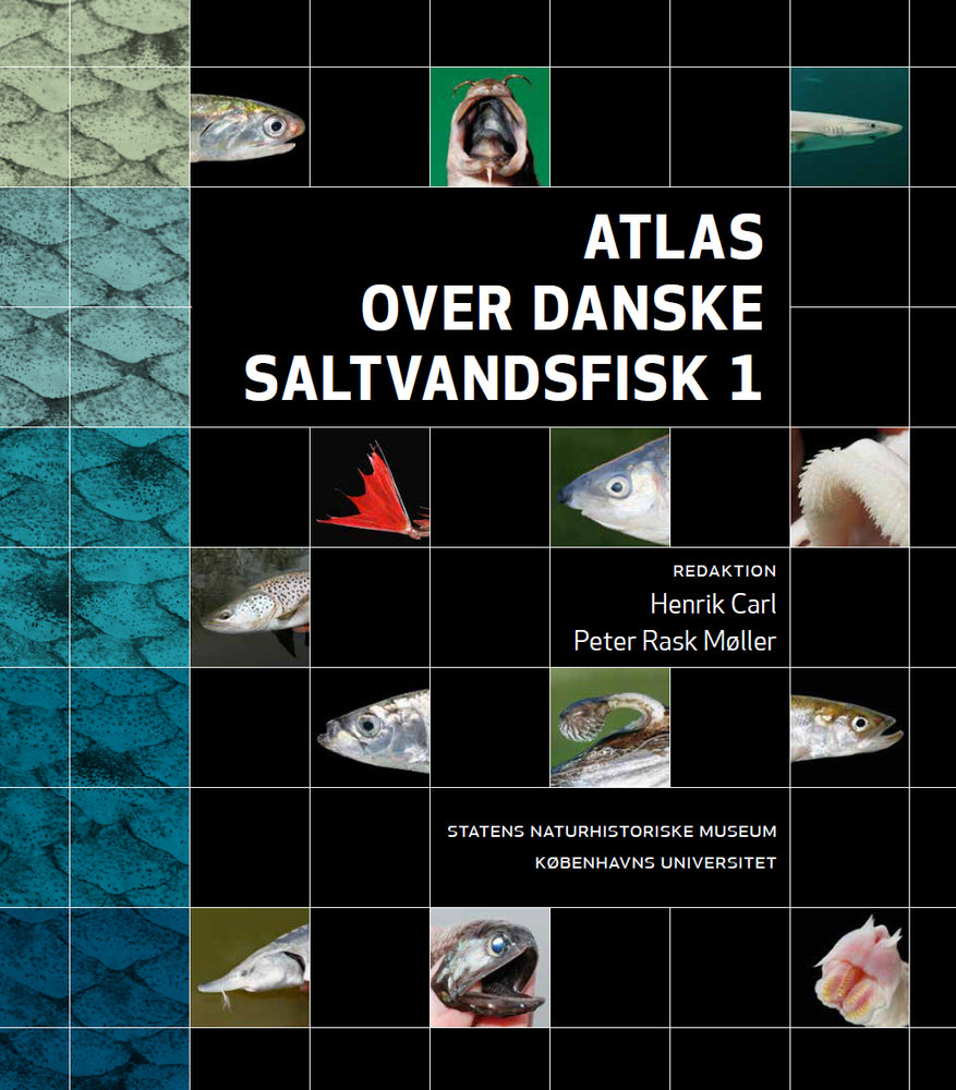 Atlas over danske saltvandsfisk