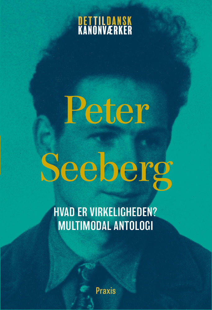 Peter Seeberg: Hvad er virkeligheden? – Multimodal antologi