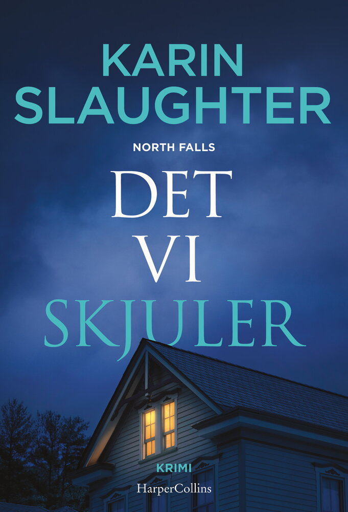 Det vi skjuler af Karin Slaughter