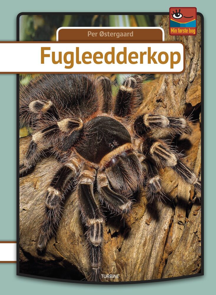 D1 Fugleedderkop