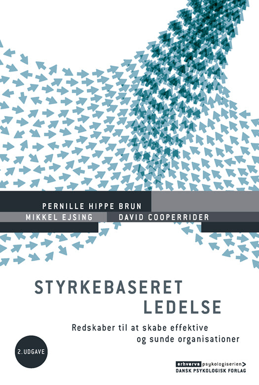 D2 Styrkebaseret ledelse, 2. udgave