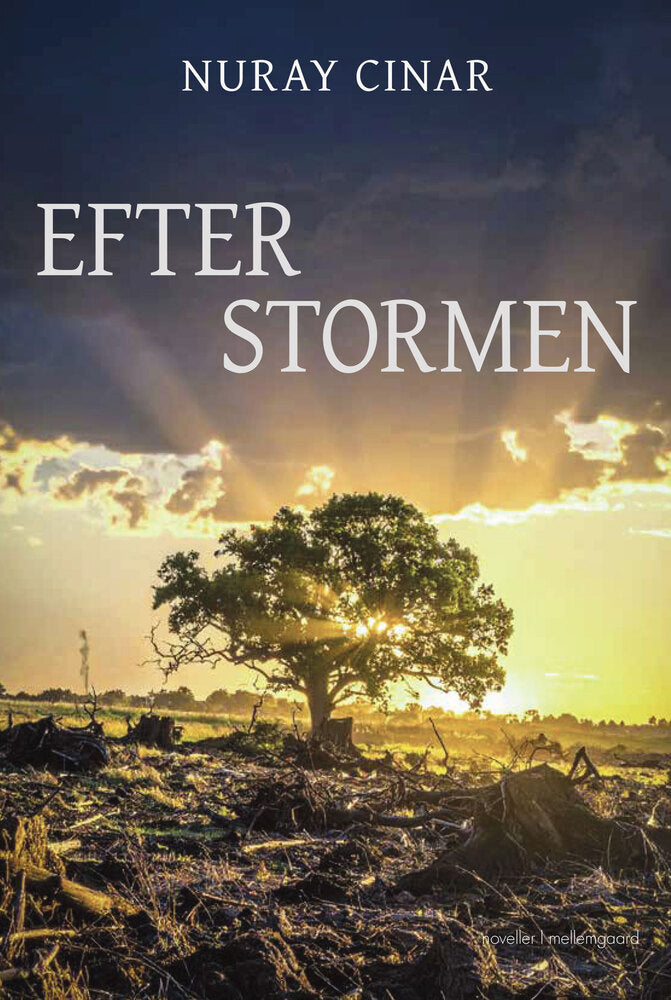 Efter stormen