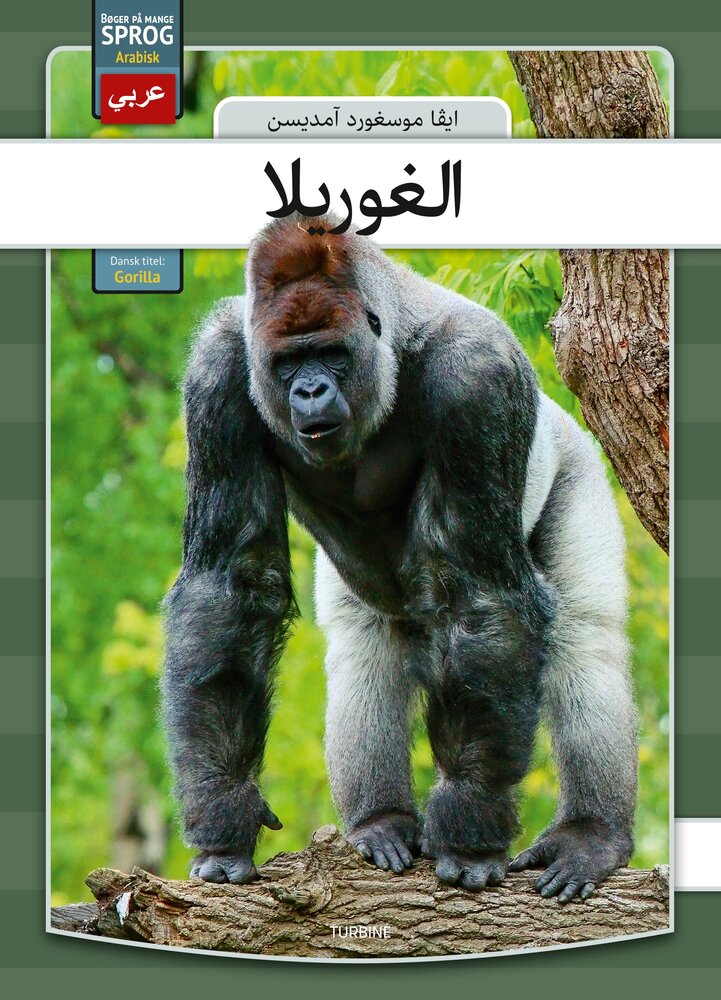 Gorilla - arabisk
