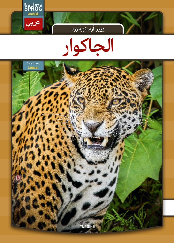 Jaguar - arabisk