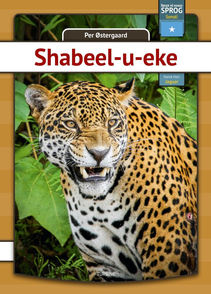 Jaguar - somali