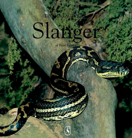 D1 Slanger
