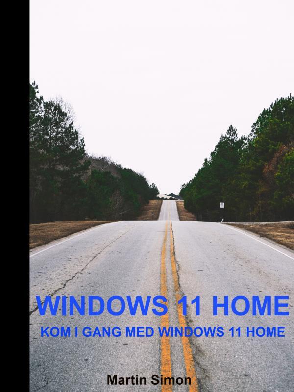 D1 Windows 11 Home