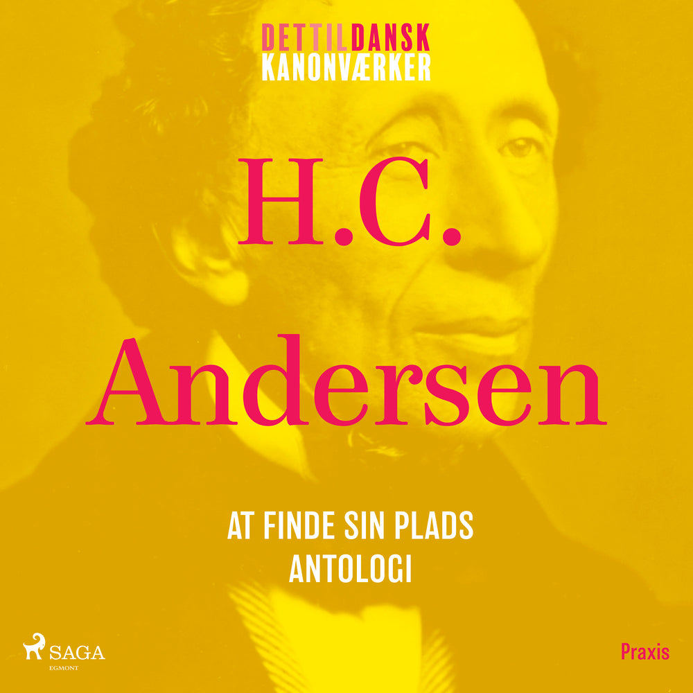 At finde sin plads - en antologi. Et kanonværk