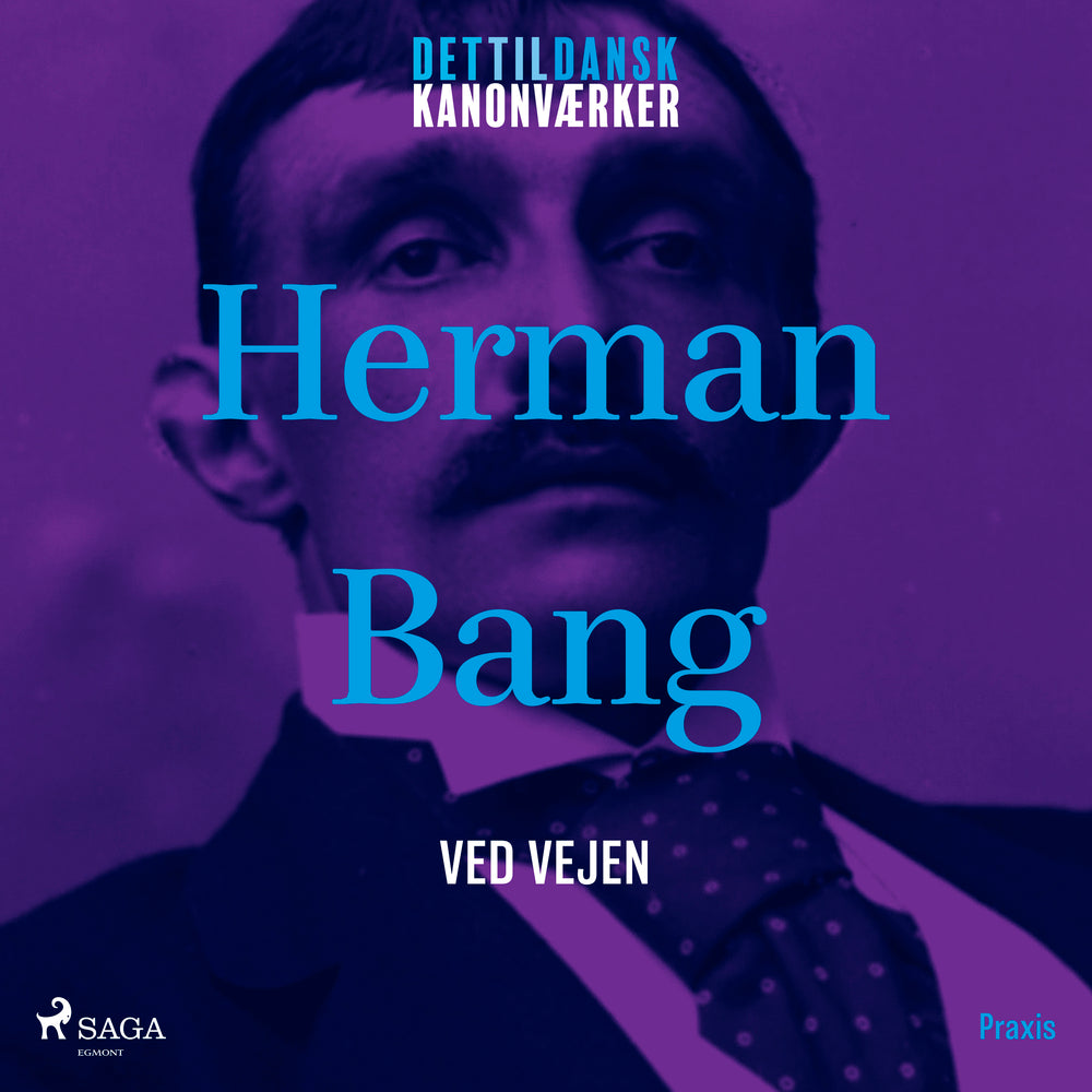 Ved vejen. Et kanonværk