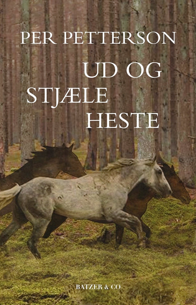 Ud og stjæle heste