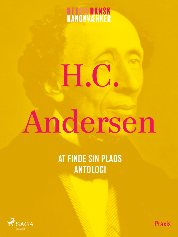 At finde sin plads - en antologi. Et kanonværk